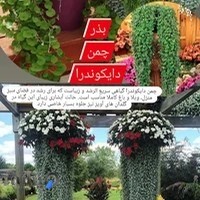 فروشگاه دنیای کشاورزی
