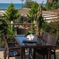 رستوان ارکیده مُتل‌قو