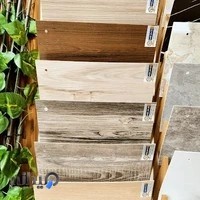 شهر پرده فاطمی