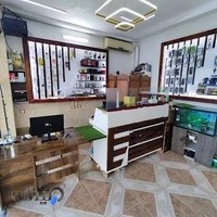 رویال موبایل