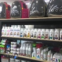 کلینیک دامپزشکی چیتا