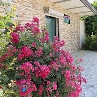 بازرگانی و گروه آموزشی فراذهن