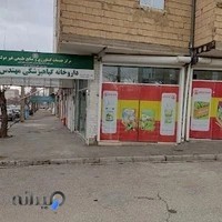 داروخانه گیاه پزشکی مهندس کمره