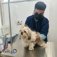 کلینیک دامپزشکی نوبند