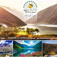 شرکت خدمات گردشگری سایه سار بلوط طلایی