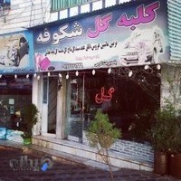گلفروشی شکوفه