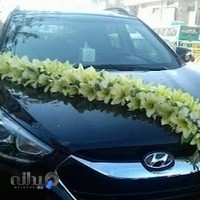 Karimy flower shop (گل فروشي کریمی)