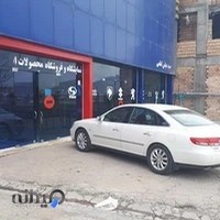 نمایندگی ایرانخودرو ناصری ۲۵۱۴