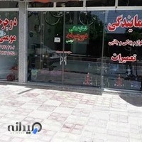 نمایندگی دوچرخه مومنی شعبه اول