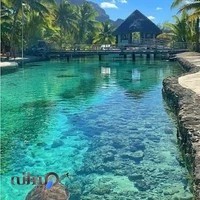 استخر شهید دهقان