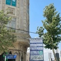 سونوگرافی و رادیولوژی نفس