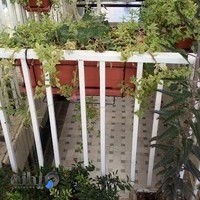 پوشاک رامبد