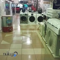 نمایندگی پاکشوما و دیپوینت نباتی