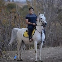 باشگاه سوارکاری و پرورش اسب آریاسب