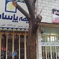 نمایندگی بیمه پاسارگاد