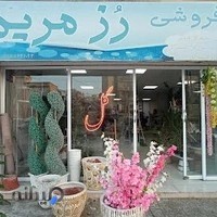 گلفروشی رز مریم