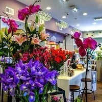 گلفروشی لَوِندِر