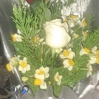 آموزشگاه مراقبت و زیبایی تک چهره