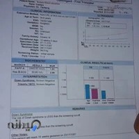 نجاری شیخ محمدی