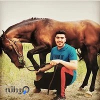 باشگاه سوارکاری آرتان