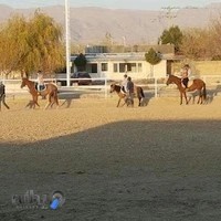 Arabkhani equestrian club عرب خانی