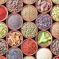 عطاری خواروبار نوری