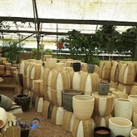 گلخانه و نمایشگاه دائمی گل و گیاه شهربازی