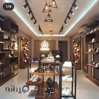 کفش پالادیوم