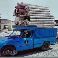 قالیشویی طوس