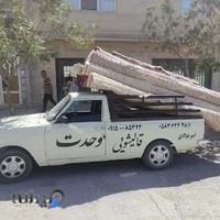 قالیشویی وحدت