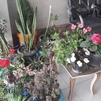 مشاور املاک رحیمی