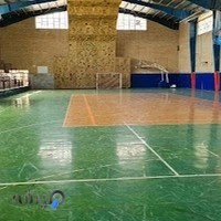 آکادمی بسکتبال پایا