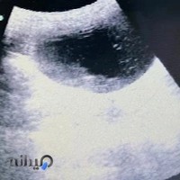 کلینیک دامپزشکی دکتر نقدی پور