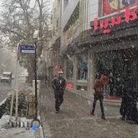 مانتو کاندیدا