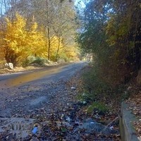 سوئیت آپارتمان