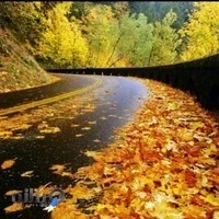 فروشگاه نامجو