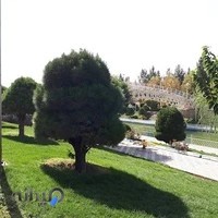 پارک آفرینش