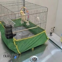 درمانگاه دامپزشکی دکتر بلادی