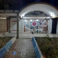 پت شاپ سیلورسربندر