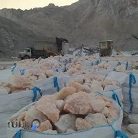 شرکت نمک مارکت