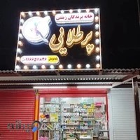 خانه پرندگان زینتی پرطلایی