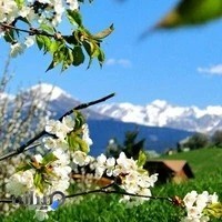 آژانس مهاجر مدیریت دریس