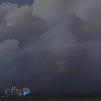 سمساری عدالت