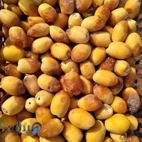 فروشگاه شادگان کالا