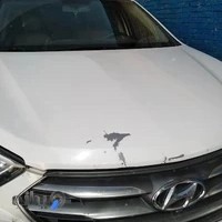 صافکاری pdrمحمد حمیدی