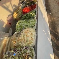 فلافل سلف سرویس شعله