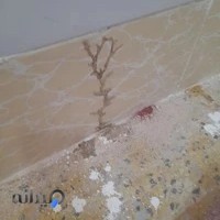 سمپاشی موریانه نجف آبادبا مجوز بهداشت