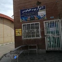 آکواریوم اقیانوس