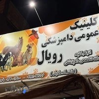 کلینیک دامپزشکی رویال