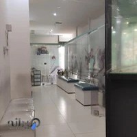 دکتر سید احمد موسوی متخصص دندانپزشکی کودکان